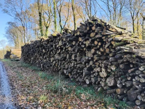 bois de chauffage à Cambrai, Cambrai, FR BOIS