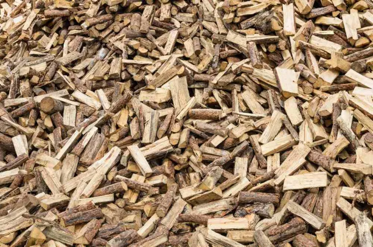 Débardage bois de chauffage, Cambrai, FR BOIS
