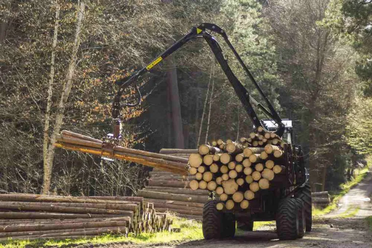 Techniques de débardage forestier, Cambrai, FR BOIS